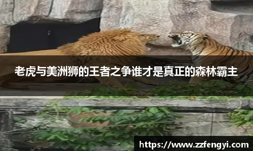 老虎与美洲狮的王者之争谁才是真正的森林霸主